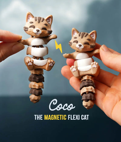 Flexi Cat | Matching Keychains That Hold Hands