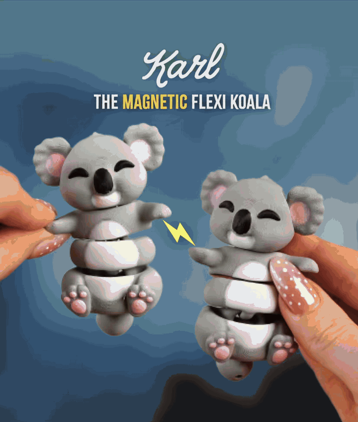 Flexi Koala | Matching Keychains That Hold Hands