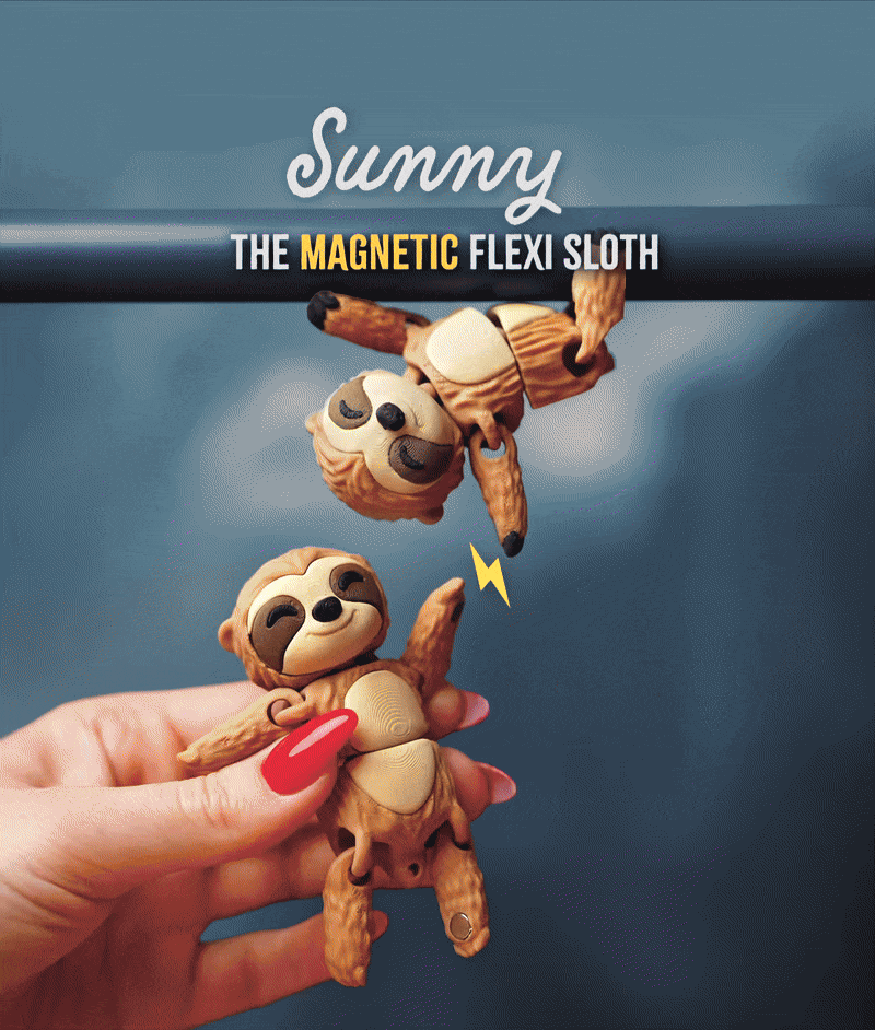 Flexi Sloth | Matching Keychains That Hold Hands